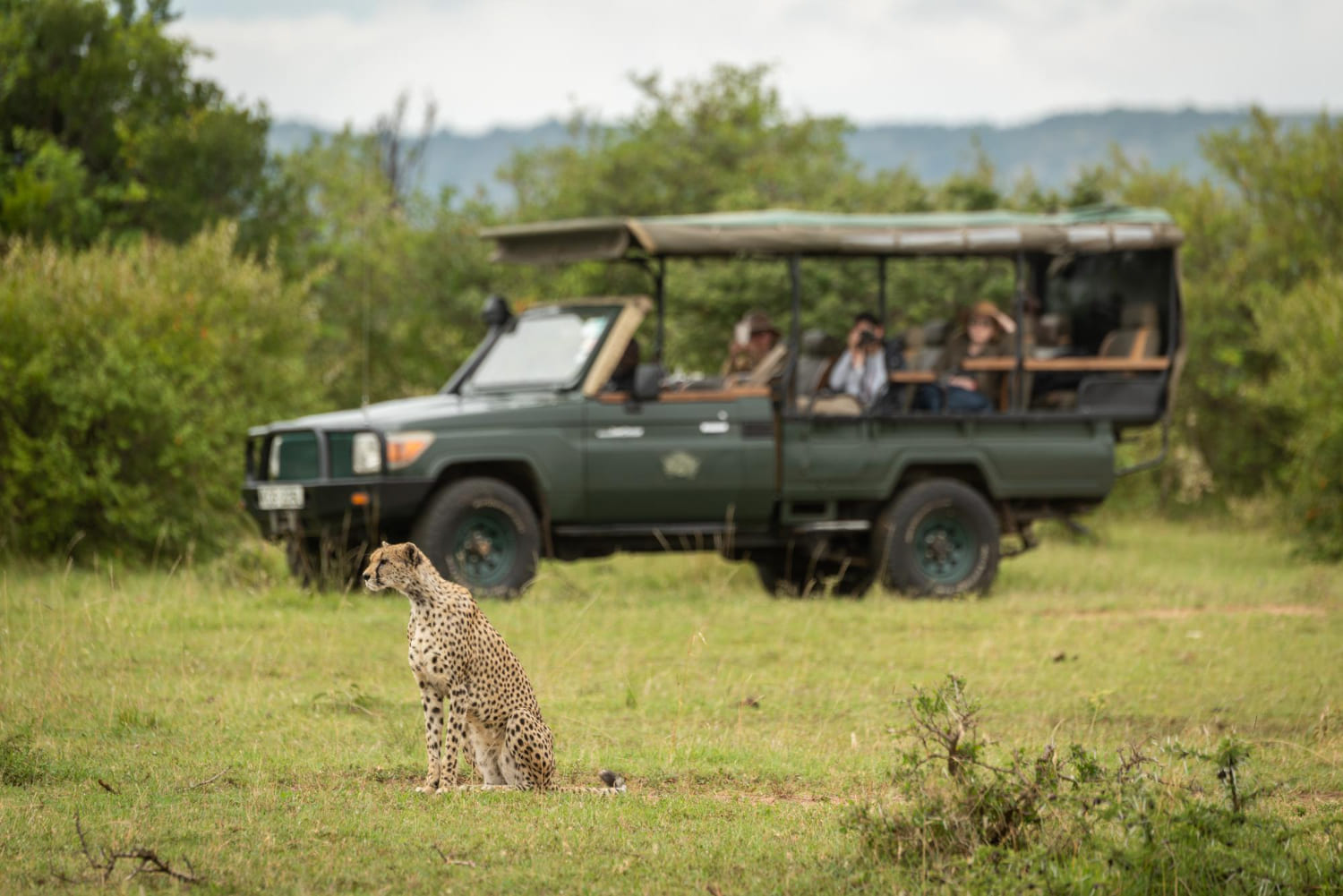 Local Kenyan experience - Wenasi travels
